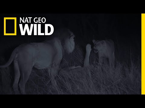 Satau Seeks Revenge | Savage Kingdom: Uprising