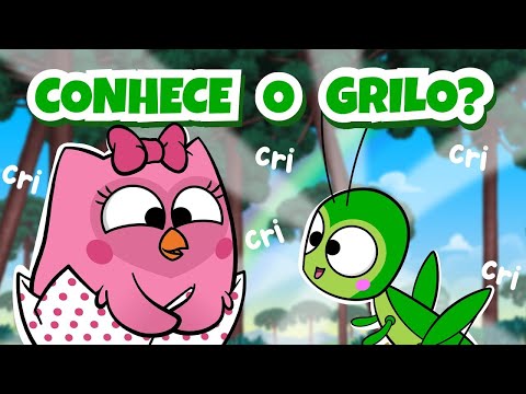 Ele fala com a barriga! 😮🦗 Episódio Completo 🦉 Desenho Animado Infantil Educativo