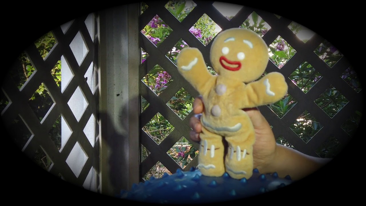 Fun Early Learning at home