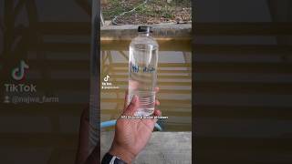 Download lagu Cara menurunkan ph air baku hidroponik #berkebun #hidroponik #pertanian mp3 Download lagu Cara menurunkan ph air baku hidroponik #berkebun #hidroponik #pertanian mp3