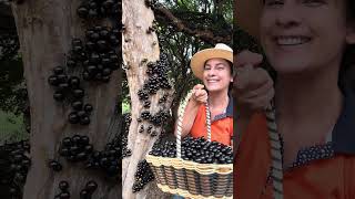 Já tomaram refrigerante de jabuticaba?