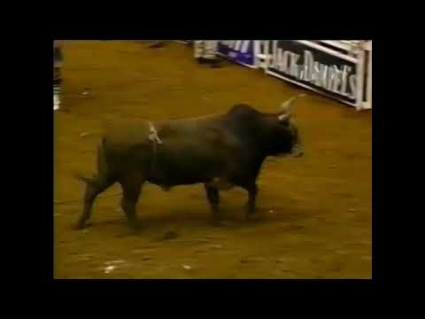 Michael Gaffney vs Whistle Stop - 00 PBR Odessa (89.5 pts)