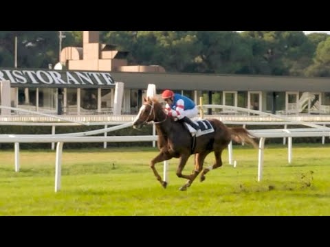 Pisa: De Tzaramonte fa 7 su 7 e si conferma un campione tra i mezzosangue; in sella Maikol Arras