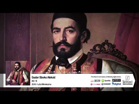 GUSLAR SLAVKO ALEKSIĆ - VI