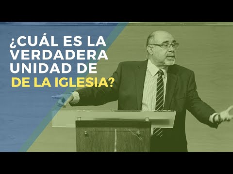 ¿Cuál es la verdadera unidad de la Iglesia? | Highlight