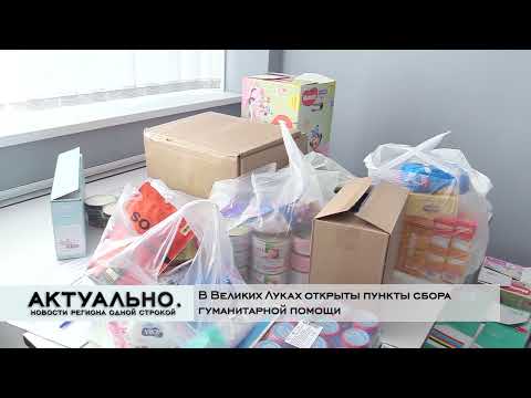 Актуально Великие Луки / 25.02.2022