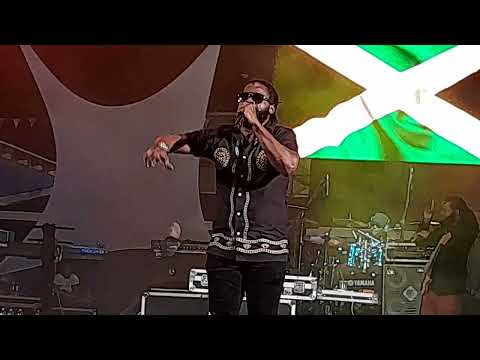 Bling Dog aka Ricky Rudy in Tortola