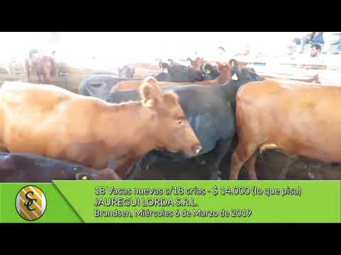 06-03-19 - Venta de Vientres - Jauregui Lorda S.R.L. - Brandsen