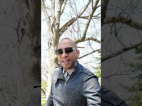 EL AFAN Y LA ANSIEDAD