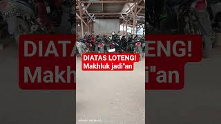 Download lagu VIRALLY A MONSTER CREATURE EATING CORN mp3