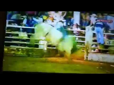 Rogério Ferreira Rodeio em touros