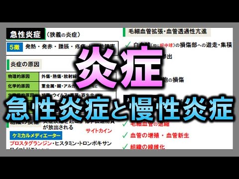 法医病理学者について詳しく解説
