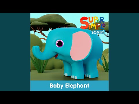 Baby Elephant