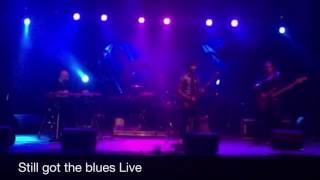 GARY MOORE STILL GOT THE BLUES Manu Rodier GIBSON LES PAUL TRADITIONAL 2014
