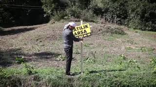 Satılık Arsa Satılık Tarla Emlak Vasıta Ve İş İlanları
