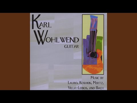 Andante Quasi Passacaglia and Toccata: The Fall of Birds