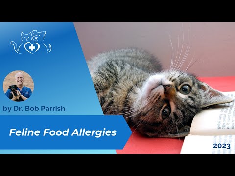 Feline Focused Food Allergy information
