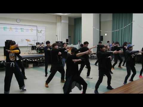 看護学科 20170512FSA④　ダンスサークル