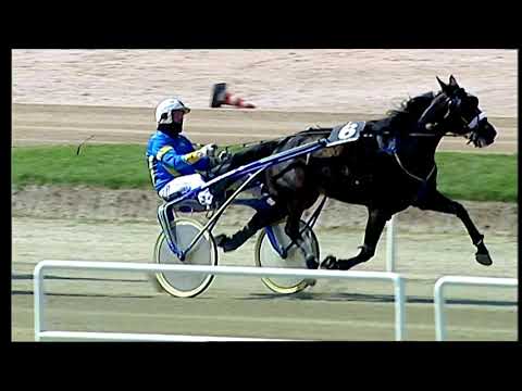 Napoli Trotto 30/04/2021 - 3ª corsa