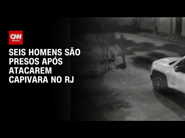 Seis homens são presos após atacarem uma capivara no Rio de Janeiro | CNN PRIME TIME