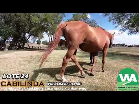 Lote CABILINDA