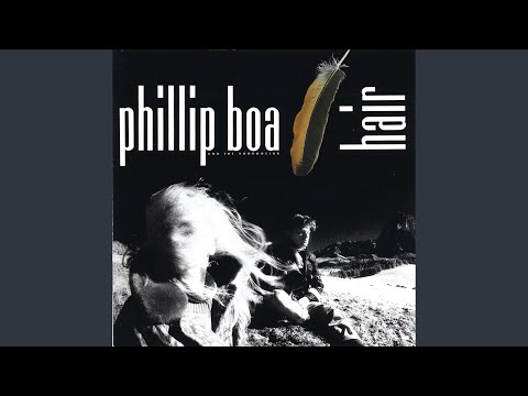PHILLIP BOA & THE VOODOO CLUB - Fine Art In Silver - Boa Phillip
