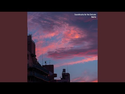 Lost in the Singularity