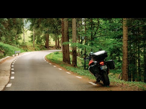 Bucovina: zilele 3-4 | Carpathian Mountains, Romania: days 3-4