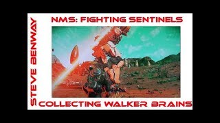 NMS: Fighting sentinel walkers & collecting walker brains.