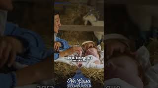 A Paz de Maria: confiança no amor de Deus