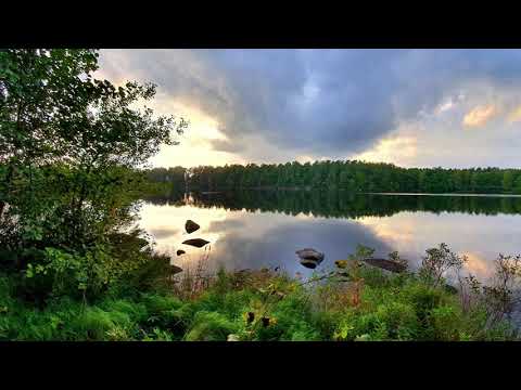 Herbst Teil 1 in Blekinge län - Schweden 2019