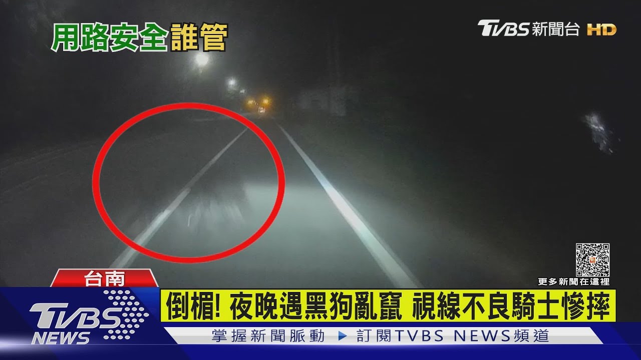 夜晚遇黑狗亂竄慘摔！　騎士控：單邊路燈遇樹業遮蔽沒人管