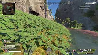 APEX Legends で姫ㇷ゚されます