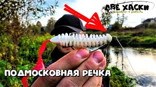 Вся резина тиога рыбалка