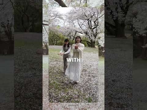 🌸桜吹雪‼ 春と戯れる学生たち✨ #和洋女子大学 #可愛い #春 #桜 #春だね