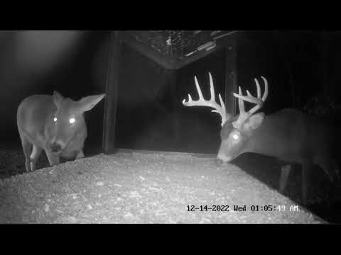 12.14.2022 ~ I Think I Have Seen Him Only Once