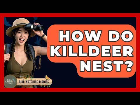 How Do Killdeer Nest? - Bird Watching Diaries