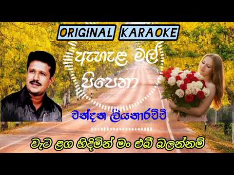Ahala mal pipena original song Karaoke with lyrics - Chandana Liyanarachchi 🎼🎼 @Ishankaveeth2 🎼🎼