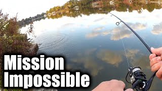 The Fishing is IMPOSSIBLE! (But This ONE LURE Still Caught Fish)