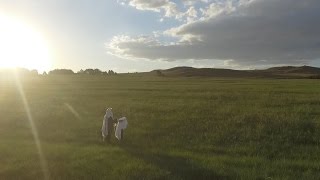 Lecha Dodi (לכה דודי)
