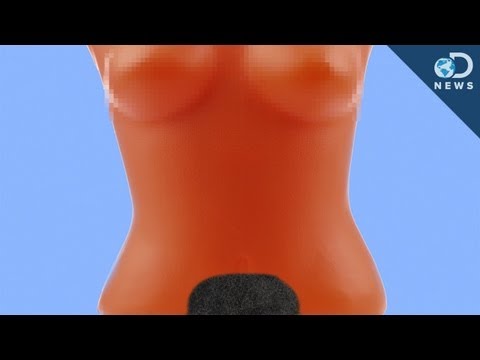 陰毛戦争 (The War on Pubic Hair)