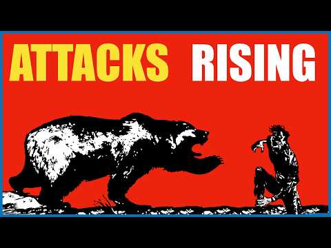 Why Are BEAR ATTACKS Rising in JAPAN?