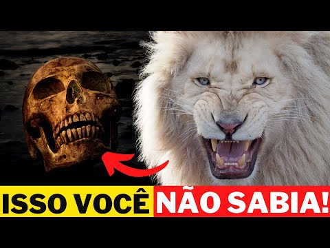 7 CURIOSIDADES SOBRE O RARO LEÃO BRANCO - ANIMAIS SELVAGENS CARNÍVOROS | MUNDO ANIMAL