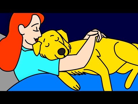 11 Formas En Que Tu Perro Te Demuestra Su Amor