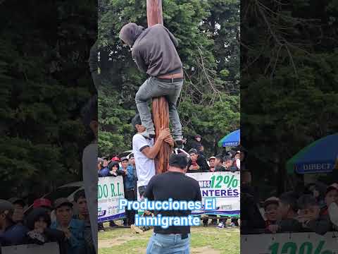 PALO ENCEBADO EN SANTA BÁRBARA HUEHUETENANGO