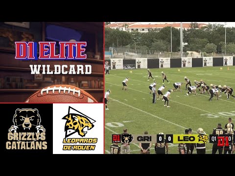 Highlights D1 Elite 2024 - Wild Card : Leopards de Rouen VS Grizzlys Catalans