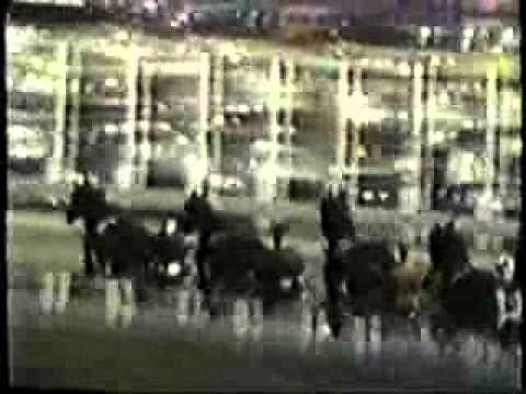 Hambletonian 1947 -Hoot Mon