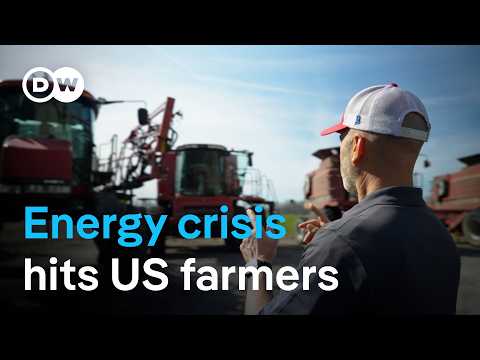 Energy crisis slams US farmers | DW News