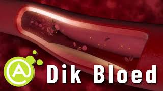 Dik Bloed
