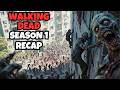 WALKING DEAD Explained In Hindi Series Ending Season 1 Dystopian Horror Zombie Thriller